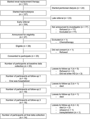 A Pilot Observational Study Assessing Long-Term Changes in Clinical Parameters, Functional Capacity and Fall Risk of Patients With Chronic Renal Disease Scheduled for Hemodialysis